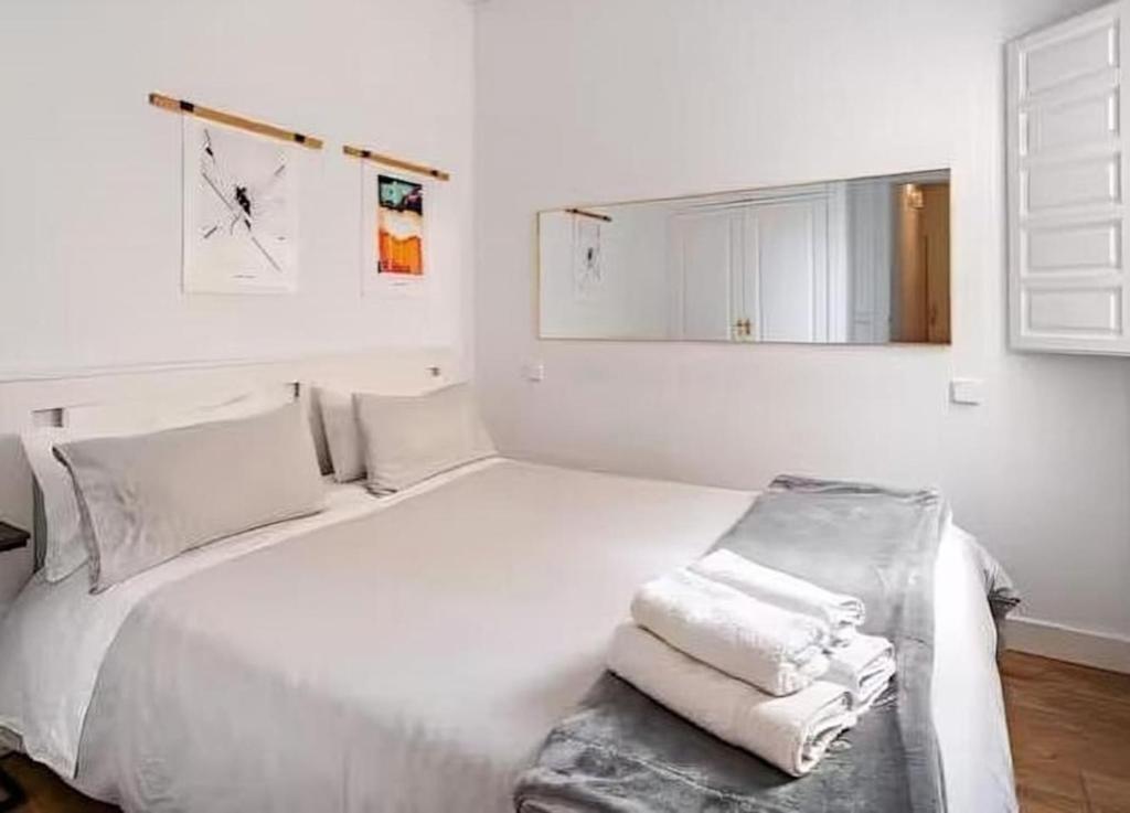Bright Central Madrid Flat