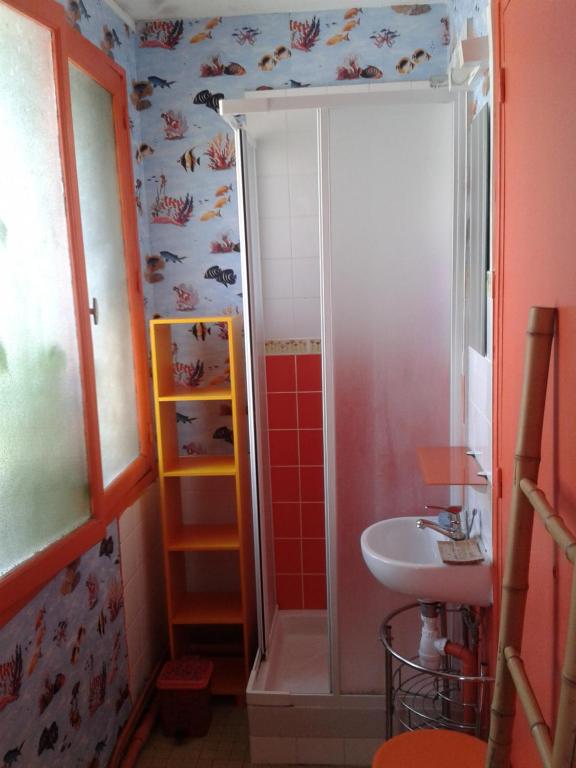 a small bathroom with a shower and a sink at Domaine Au charme des Plantes in Rennes