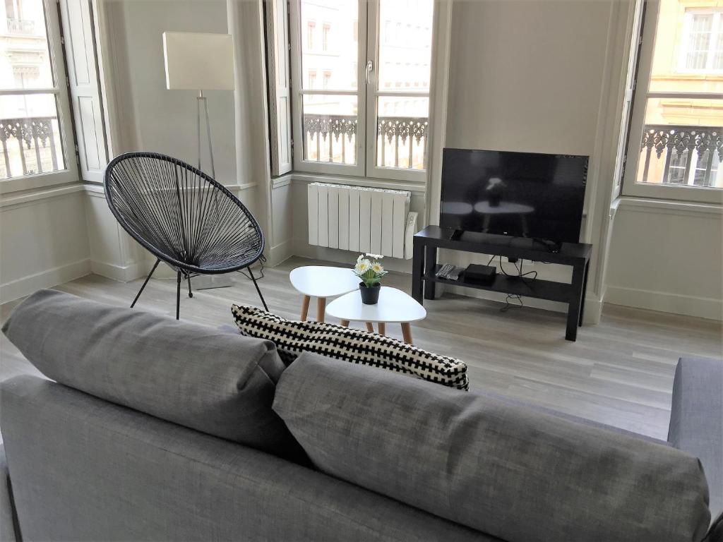 een woonkamer met een bank en een televisie bij Celect'in Lyon in Lyon