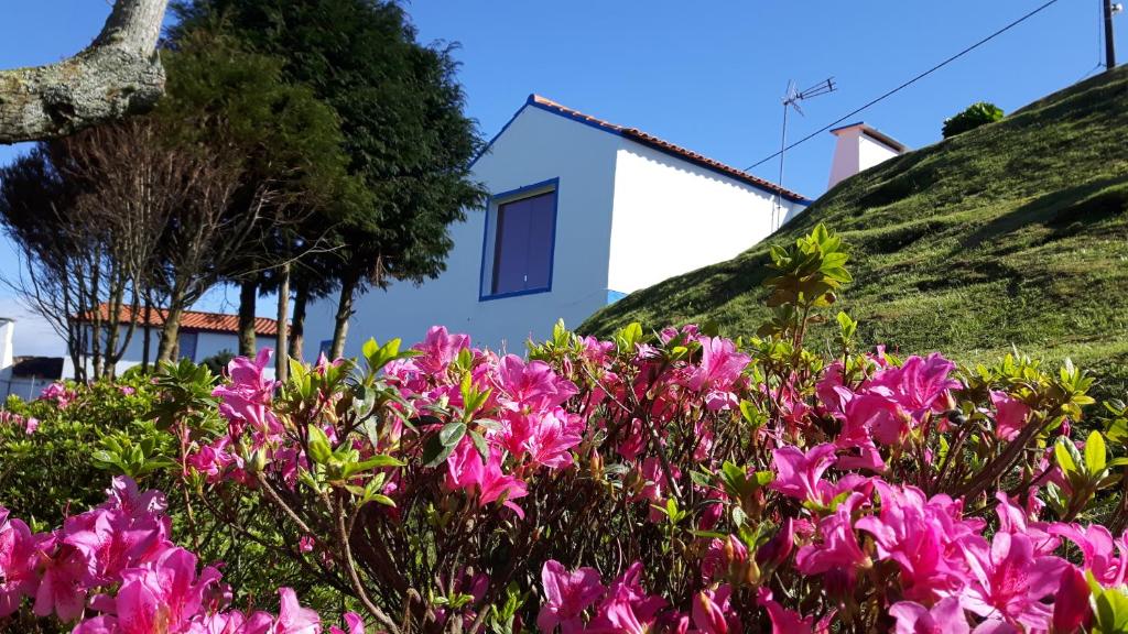 un mucchio di fiori rosa di fronte a una casa di Casa Miramar ad Algarvia