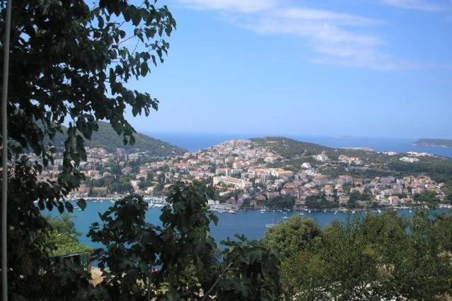 Blick auf die Stadt und einen Wasserkörper in der Unterkunft Guesthouse Dubrovnik in Dubrovnik