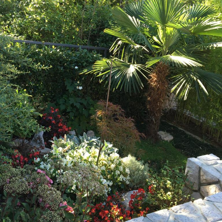 a garden with flowers and a palm tree at Guest House Villa Dagmar in Crikvenica