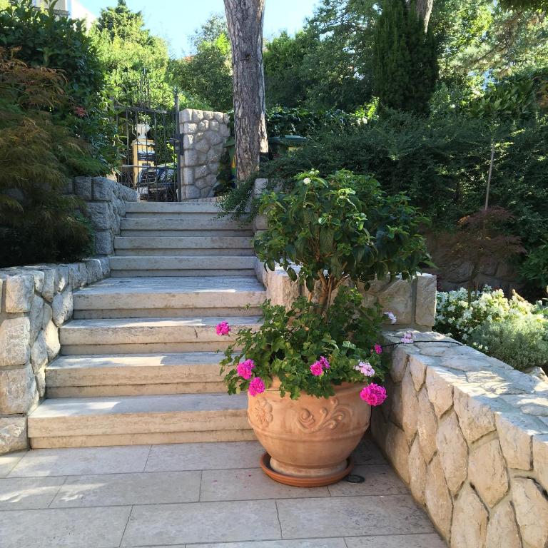 a set of stairs with a pot of flowers at Guest House Villa Dagmar in Crikvenica
