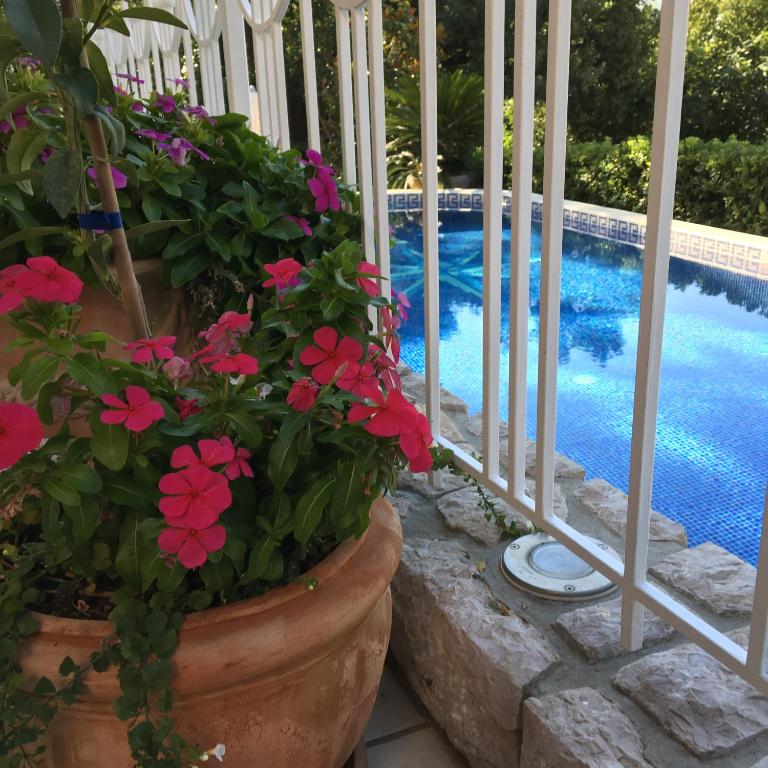 a porch with flowers and a swimming pool at Guest House Villa Dagmar in Crikvenica
