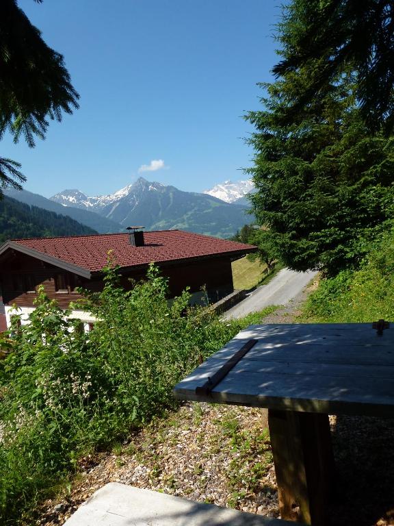 Příroda nedaleko apartmánu