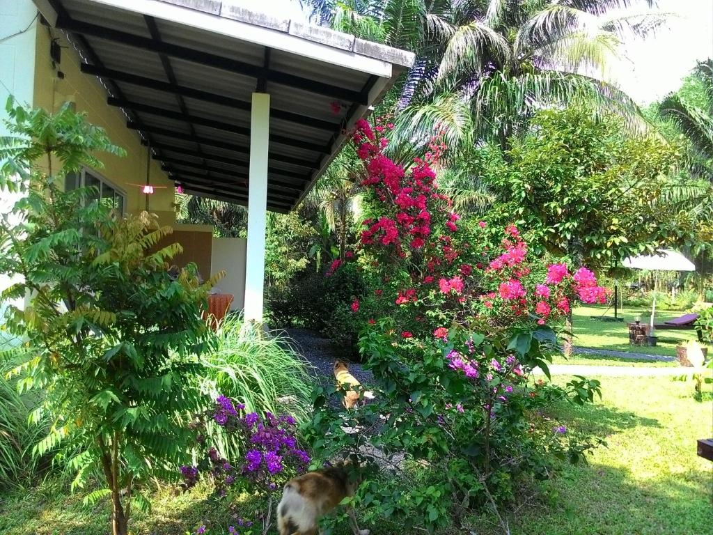 a dog sitting in the grass next to some flowers at Aathid Garden Khao Lak in Khao Lak