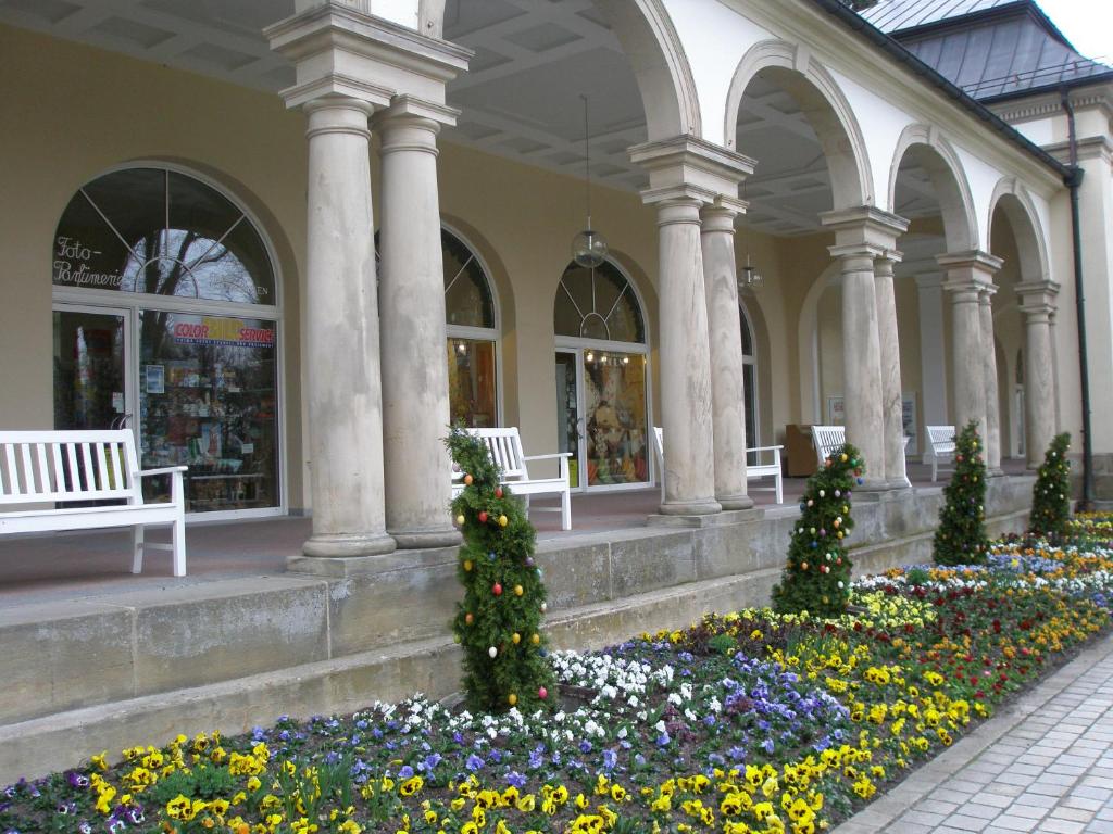 Zahrada ubytování Hotel Promenade