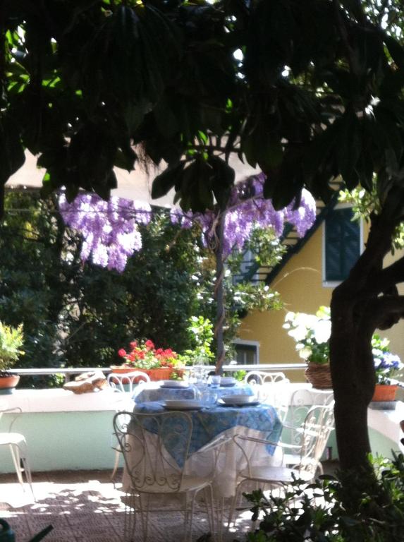 Zahrada ubytování Hotel Pensione Moderna