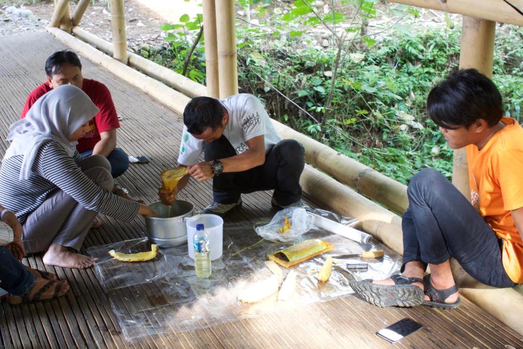 Hosté ubytování Ecolodge Bukit Lawang - Hotel&JungleTREK