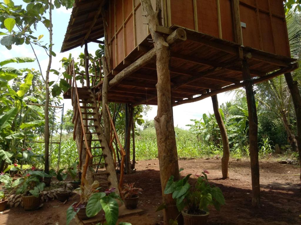 Zahrada ubytování Sigiri Aliya Tree house