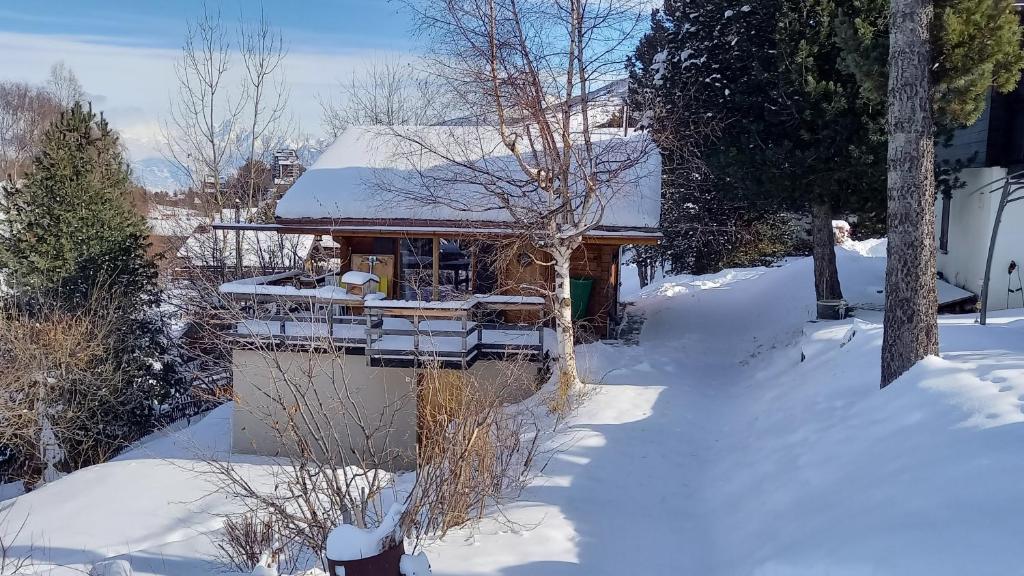 Chalet AS des Pics
