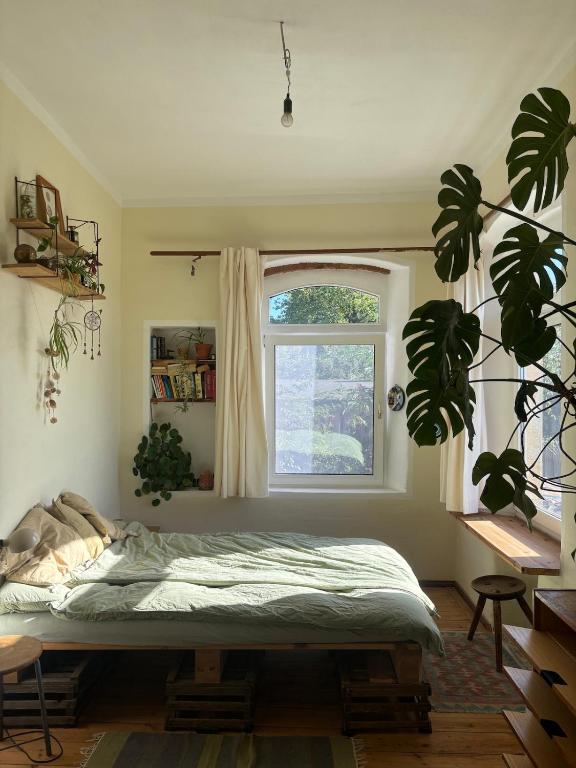 普勞恩的Little Paradise（2026 年最新房價）