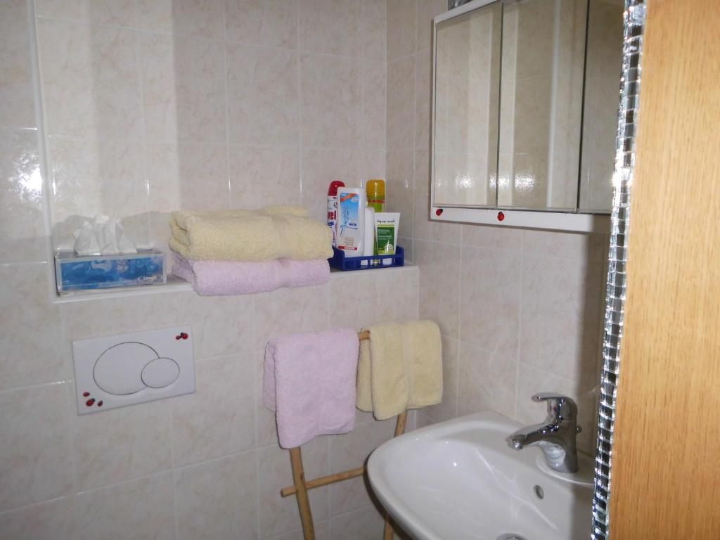 Koupelna v ubytování Casa la Selva