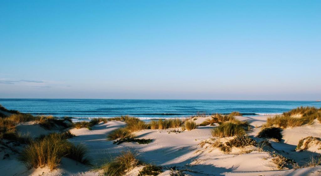 a sandy beach with the ocean in the background at Sun & Wave Apartment in Peniche
