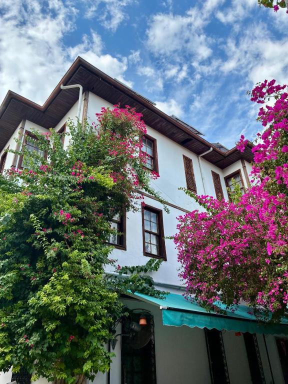 امکانات Sabah Homes - تصویر ۴