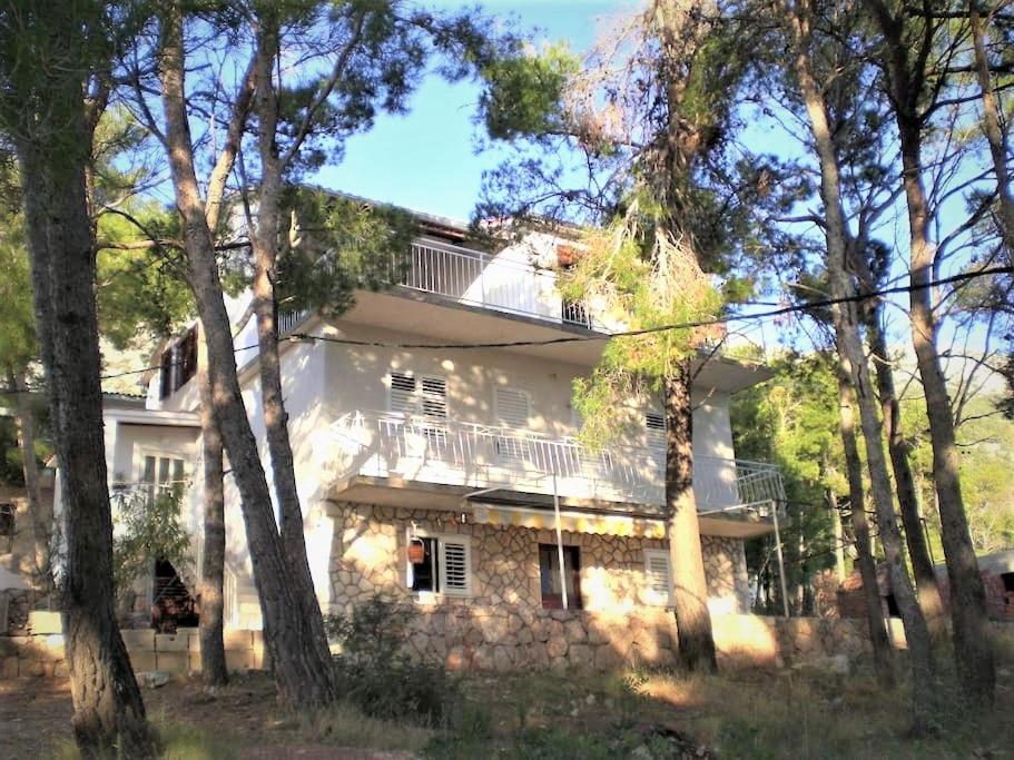 Budova, v ktorej sa apartmán nachádza