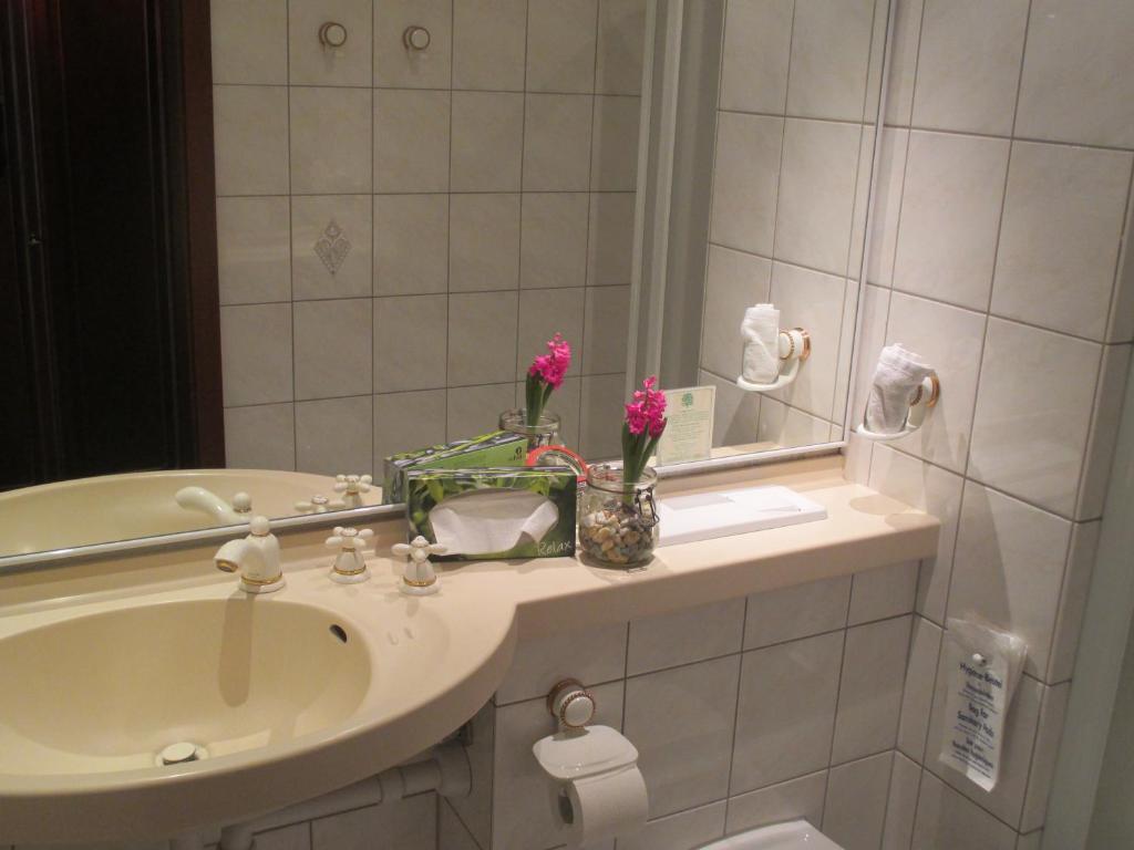 Adler Golf-& Tagungshotel - Single Room