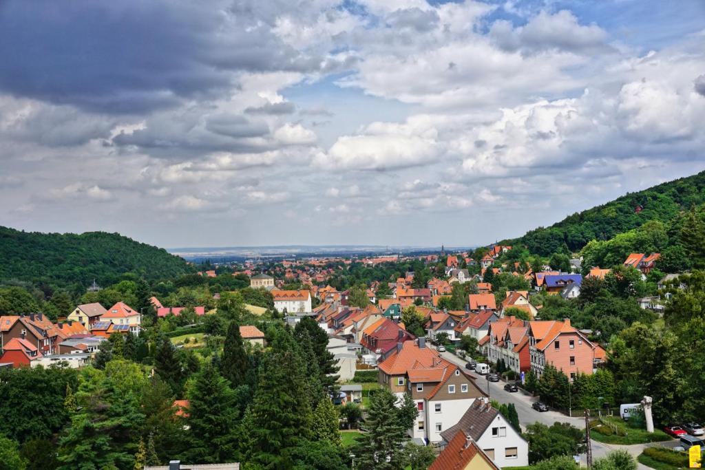 Příroda nedaleko hotelu