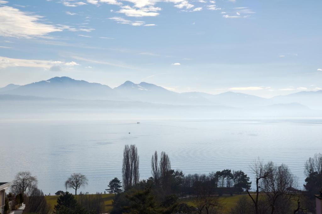 Hôtel Bellerive - Resim 42