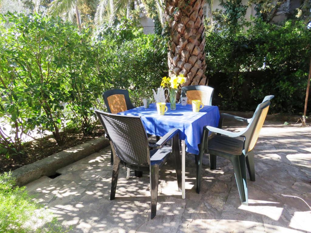 Zahrada ubytování Apartments Palma Novalja