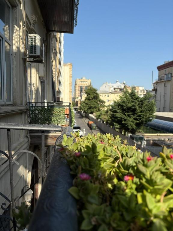 تصویر اتاق‌های Lunera Hotel Baku - تصویر ۲