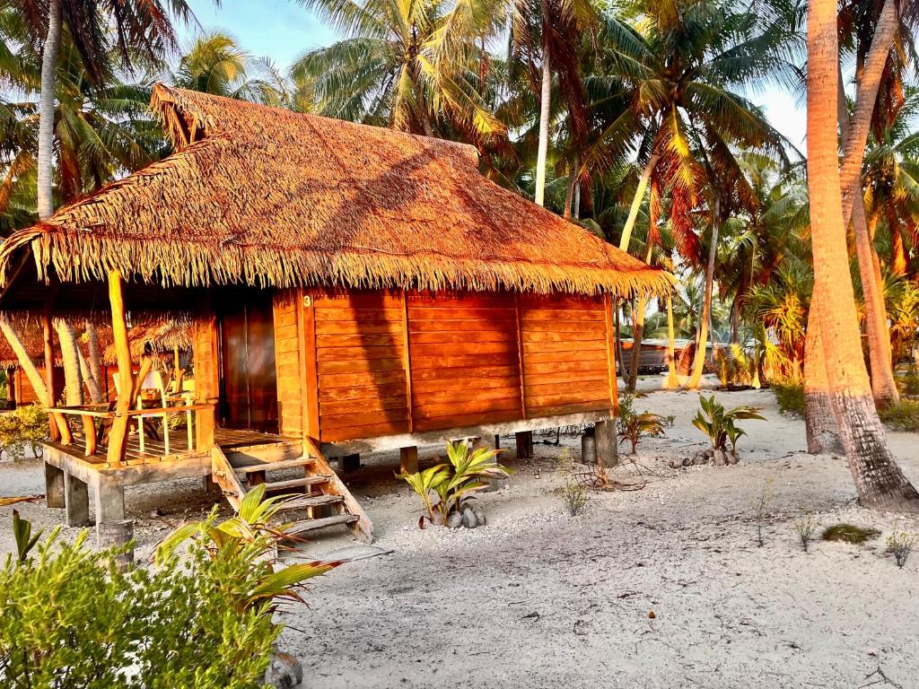 Aotera Guest House II - photo 4 - Rangiroa, Polynésie