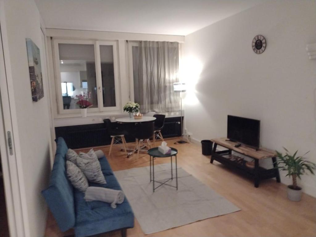Economic and quiet apartment in downtown Zurich