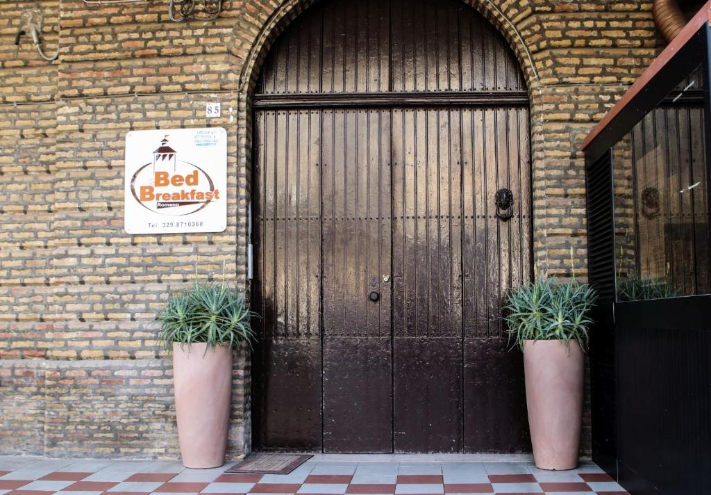 サン・セヴェーロにあるRomano B&Bの鉢植えの植物が2本前に並ぶ扉