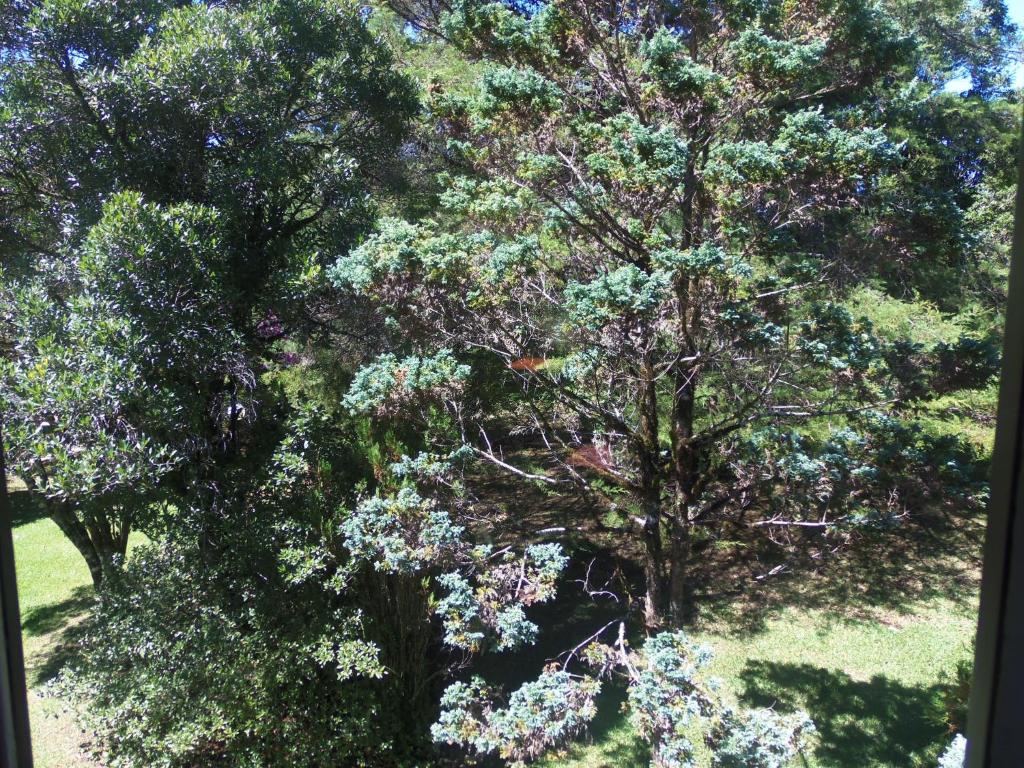  Cabana Vale do Bosque 3 -109