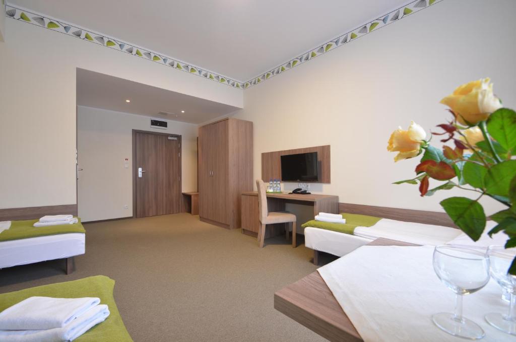TV a/nebo společenská místnost v ubytování Hotel Zorza