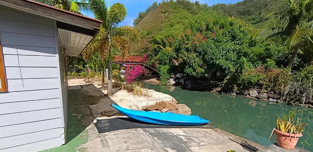 Moorea Pool & Lagoon House - photo 10 - Moorea, Polynésie