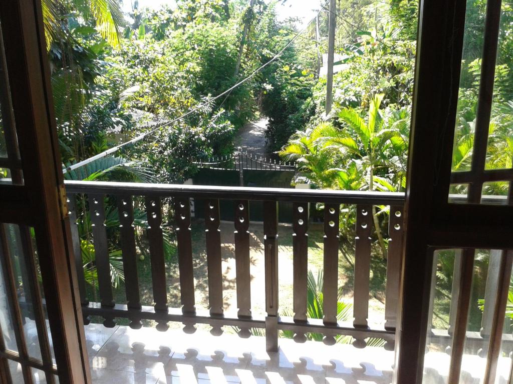 O grădină în afara Villa 159