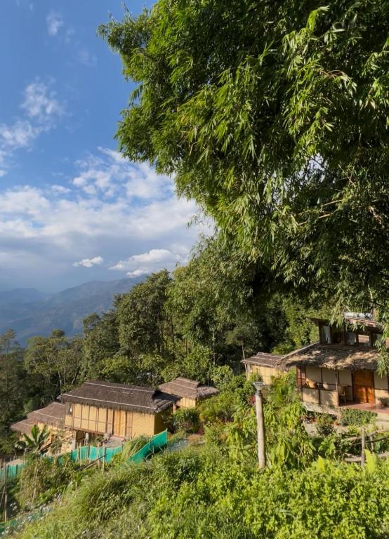 Art Mile Kalimpong - Housity