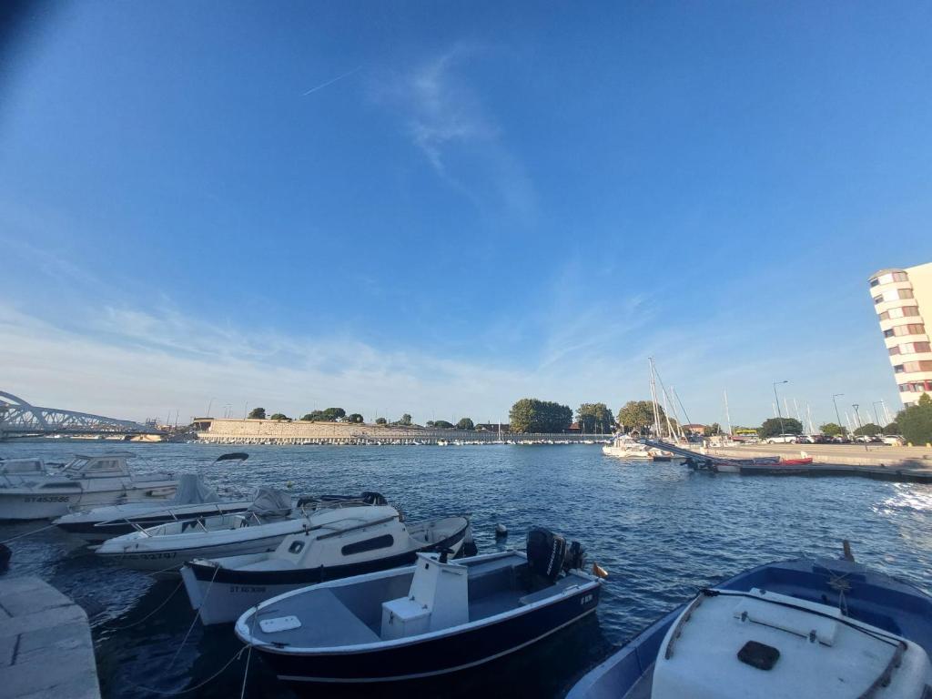 Sète le quai de Bosc