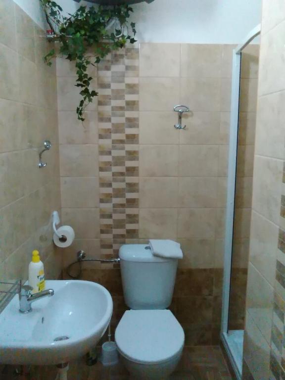 Łazienka w obiekcie Apartma Františkovy Lázně