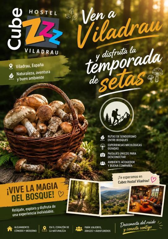 Cubez Viladrau