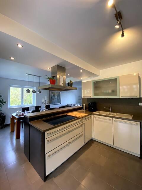 Maison au cœur du vignoble à 10 minutes de Colmar – photo 4