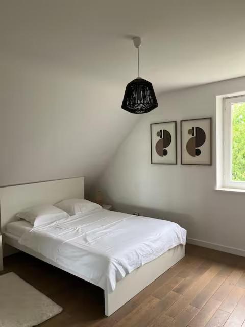 Maison au cœur du vignoble à 10 minutes de Colmar – photo 31