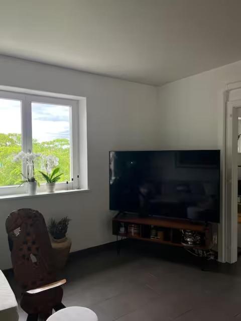 Maison au cœur du vignoble à 10 minutes de Colmar – photo 24