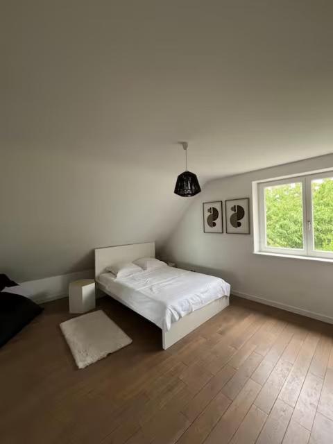 Maison au cœur du vignoble à 10 minutes de Colmar – photo 14