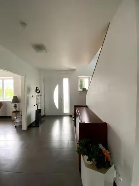 Maison au cœur du vignoble à 10 minutes de Colmar – photo 19