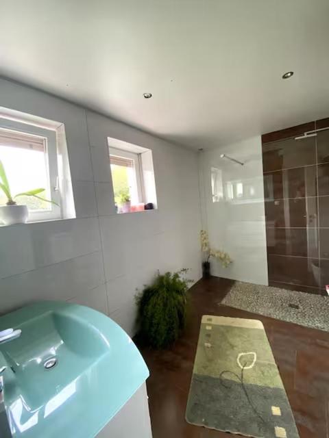 Maison au cœur du vignoble à 10 minutes de Colmar – photo 3