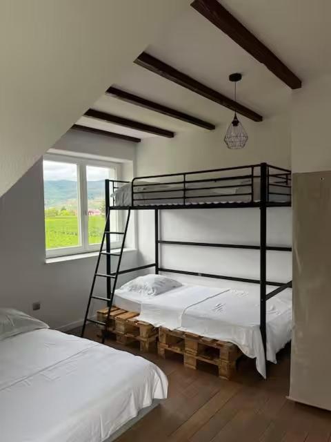 Maison au cœur du vignoble à 10 minutes de Colmar – photo 2