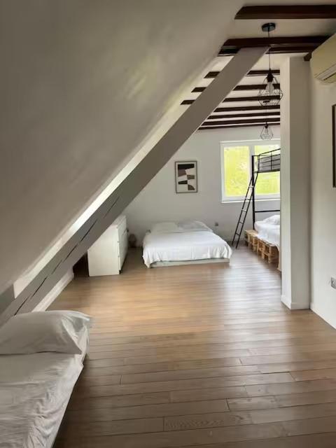 Maison au cœur du vignoble à 10 minutes de Colmar – photo 21