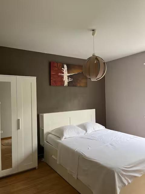 Maison au cœur du vignoble à 10 minutes de Colmar – photo 26