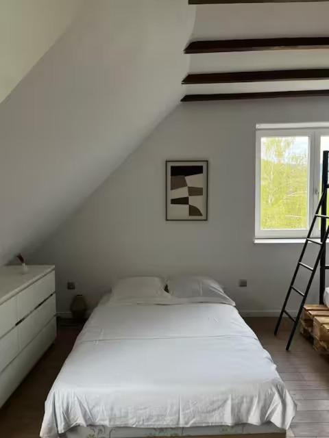 Maison au cœur du vignoble à 10 minutes de Colmar – photo 10