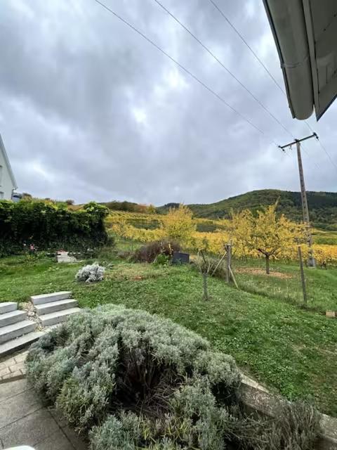 Maison au cœur du vignoble à 10 minutes de Colmar – photo 12