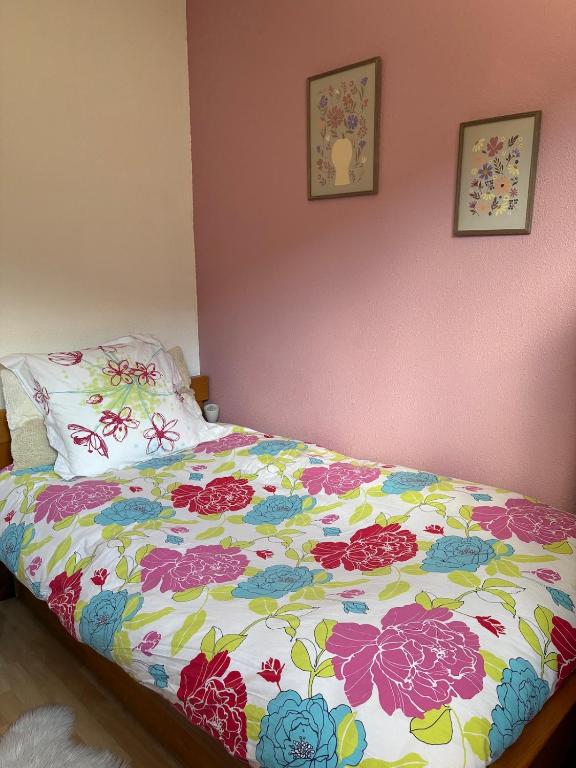 Maison calme avec jardin & parking à 10 min du centre de Kaysersberg – photo 10