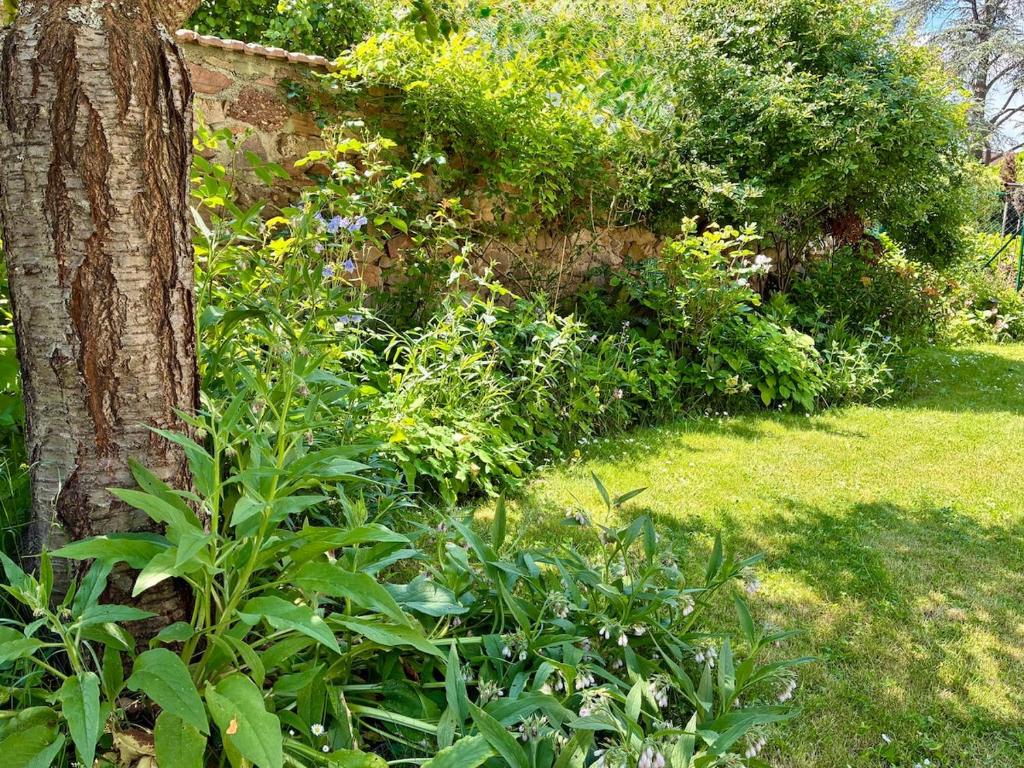 Maison calme avec jardin & parking à 10 min du centre de Kaysersberg – photo 22