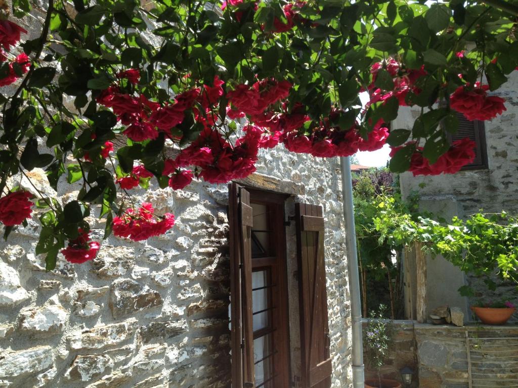 A garden outside Charming Stone House